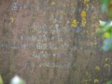 image of grave number 784885